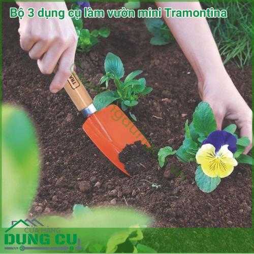 Bộ 3 dụng cụ làm vườn mini Tramontina là một bộ dụng cụ tuyệt vời. Bộ dụng cụ này giúp cho khu vườn của bạn hoàn hảo đến từng chi tiết nhỏ nhất. Bộ dụng cụ bao gồm 3 món: xẻng làm vườn, chĩa làm vườn,cào làm vườn.