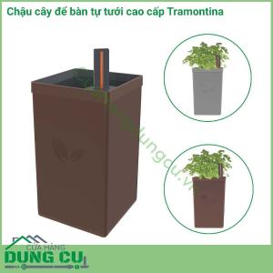 Chậu cây để bàn tự tưới cao cấp Tramontina