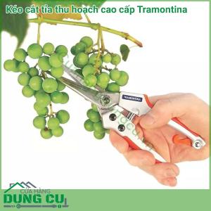 Kéo cắt tỉa thu hoạch cao cấp Tramontina