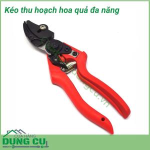 Kéo thu hoạch hoa quả, cắt tỉa cây đa năng
