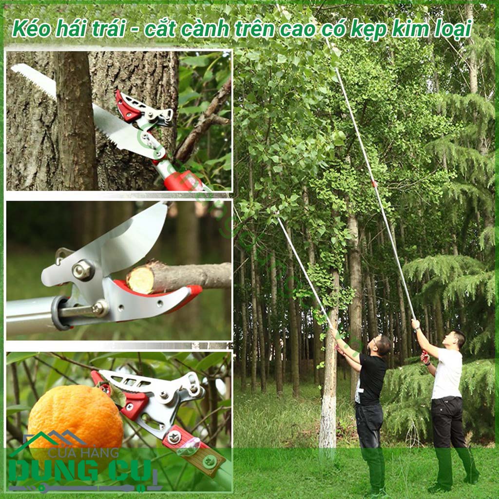 Kéo hái quả - cắt cành trên cao đa năng dài 3m là một sản phẩm rất tiện ích đáp ứng được nhu cầu của các nhà vườn không cần phải leo trèo hay kê thang mà vẫn thu hoạch được hoa quả cũng như cắt tỉa những cành không cần thiết rất hiệu quả.