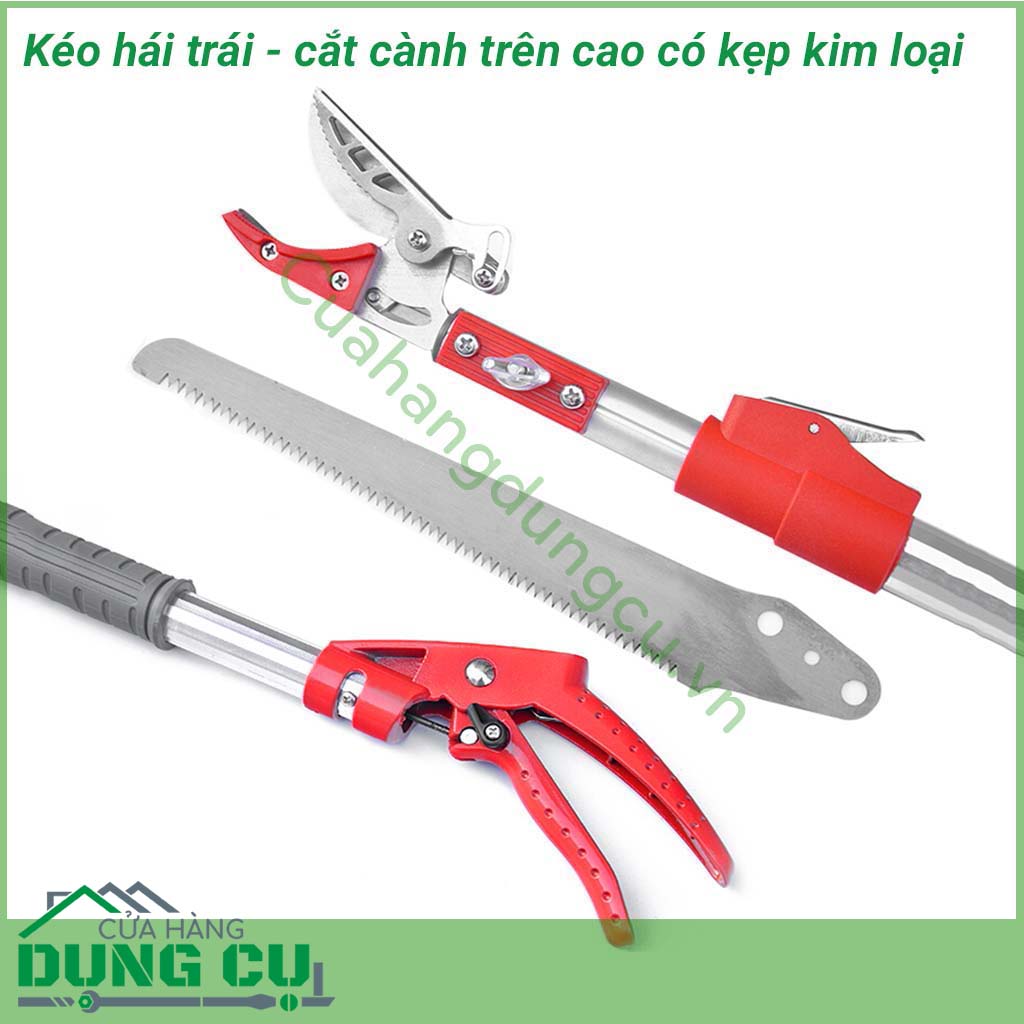 Kéo hái quả - cắt cành trên cao đa năng dài 3m là một sản phẩm rất tiện ích đáp ứng được nhu cầu của các nhà vườn không cần phải leo trèo hay kê thang mà vẫn thu hoạch được hoa quả cũng như cắt tỉa những cành không cần thiết rất hiệu quả.