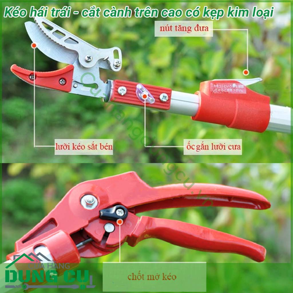 Kéo hái quả - cắt cành trên cao đa năng dài 3m là một sản phẩm rất tiện ích đáp ứng được nhu cầu của các nhà vườn không cần phải leo trèo hay kê thang mà vẫn thu hoạch được hoa quả cũng như cắt tỉa những cành không cần thiết rất hiệu quả.