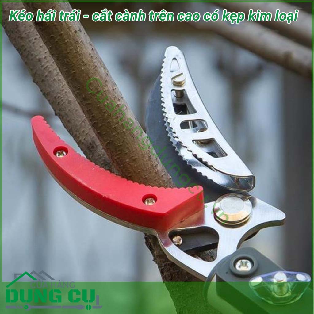 Kéo hái quả - cắt cành trên cao đa năng dài 3m là một sản phẩm rất tiện ích đáp ứng được nhu cầu của các nhà vườn không cần phải leo trèo hay kê thang mà vẫn thu hoạch được hoa quả cũng như cắt tỉa những cành không cần thiết rất hiệu quả.