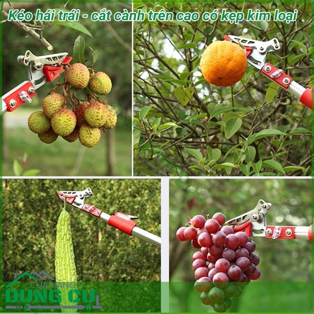 Dụng cụ hái quả – cắt tỉa cành cây trên cao dài 4m&nbsp;là một sản phẩm rất tiện ích đáp ứng được nhu cầu của các nhà vườn không cần phải leo trèo hay kê thang mà vẫn thu hoạch được hoa quả cũng như cắt tỉa những cành không cần thiết rất hiệu quả. 
