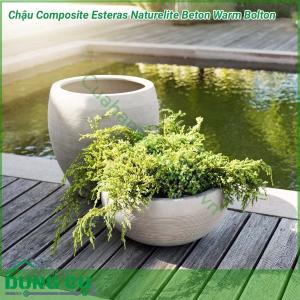Chậu cây Composite Esteras Naturelite Beton Warm Bolton