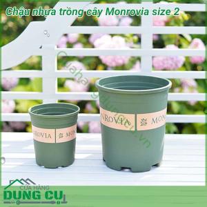 Chậu trồng cây Monrovia size 2