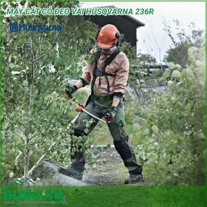 Cắt cỏ đa năng Husqvarna 236R