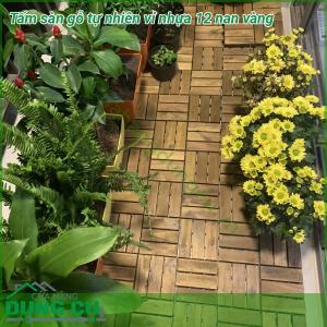Sàn gỗ tự nhiên vỉ nhựa 12 nan vàng
