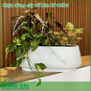 Chậu trồng cây để bàn Composite KP-2524