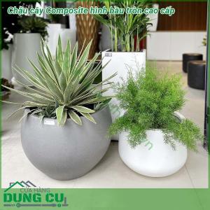 Chậu cây Composite hình bầu tròn cao cấp