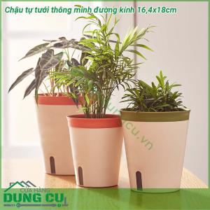 Chậu tự tưới thông minh đường kính 16,4x18cm