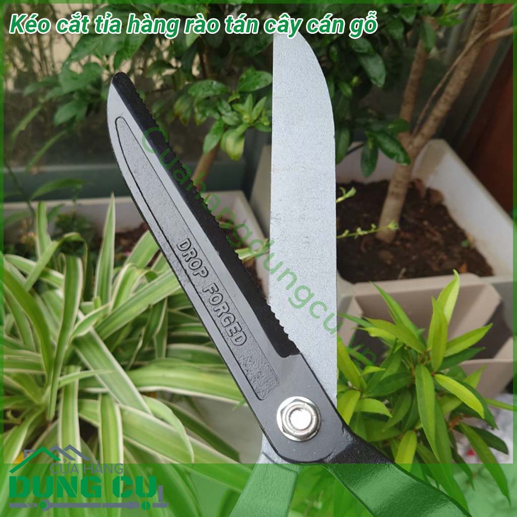 Kéo cắt tỉa hàng rào tán cây cán gỗ&nbsp;với lưỡi kéo&nbsp;được làm bằng thép không gỉ &nbsp;phần lưỡi kéo dày chắc chắn tạo lực cắt khỏe mạnh Đáp ứng được nhu cầu làm vườn cắt tỉa hàng rào và cắt cỏ của người làm vườn